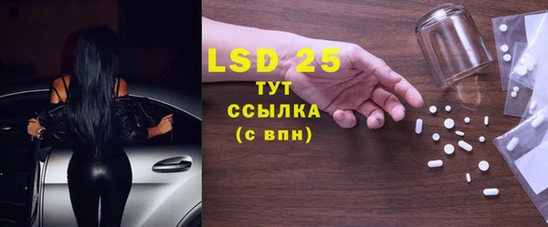 ПСИЛОЦИБИНОВЫЕ ГРИБЫ Корсаков