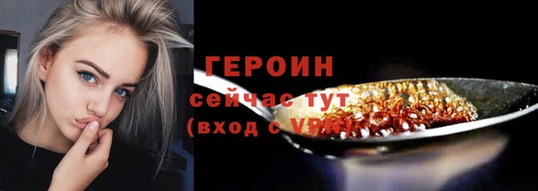 гидра Кодинск