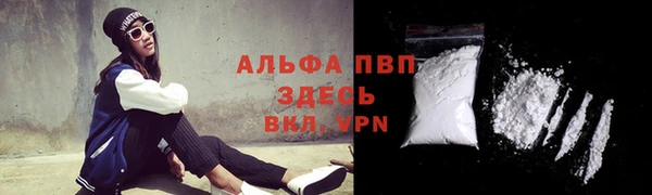 прущие крисы Коряжма