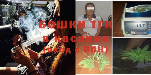 дживик Козельск