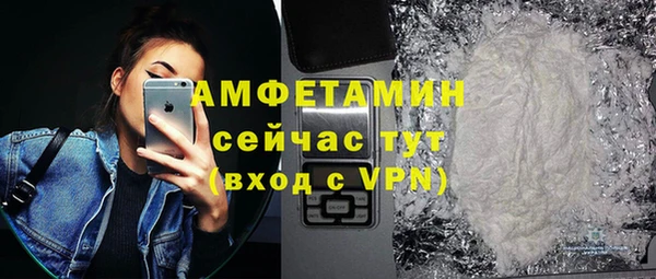 гидра Кодинск