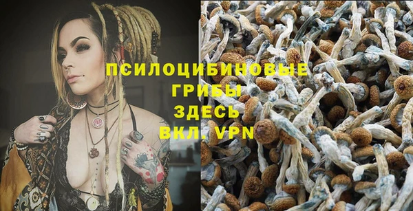 дживик Козельск