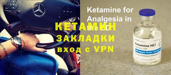 гидра Кодинск