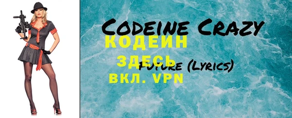 гидра Кодинск