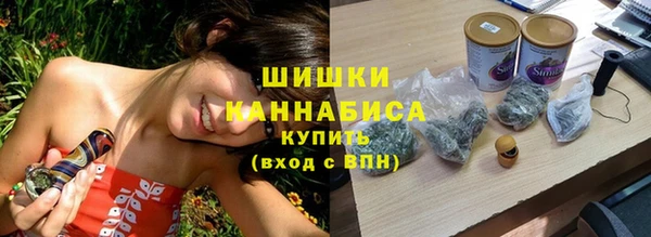 гидра Кодинск