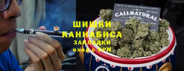 дживик Козельск