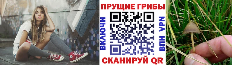 Галлюциногенные грибы Magic Shrooms  Красный Сулин 