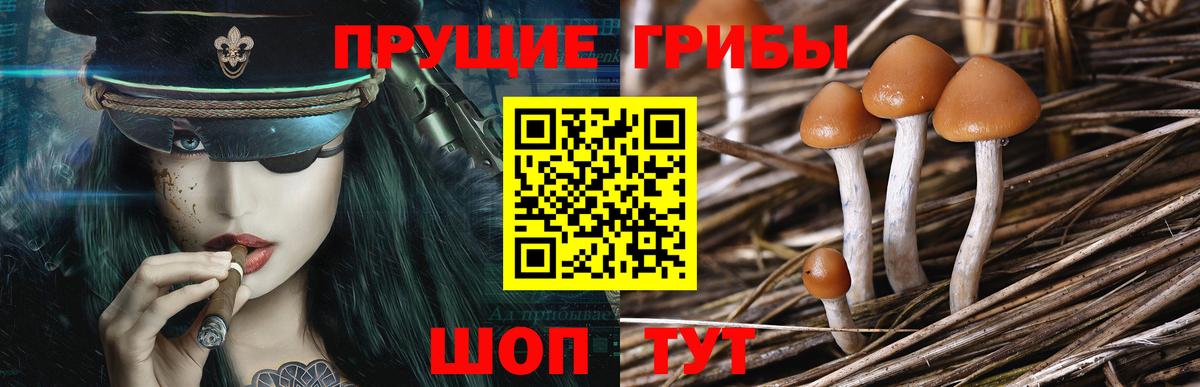 Галлюциногенные грибы мицелий Красный Сулин