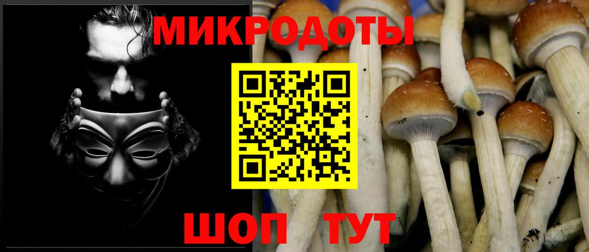 Красный Сулин  Псилоцибиновые грибы мухоморы  закладка  Вход с VPN  Псилоцибиновые грибы Magic Shrooms 